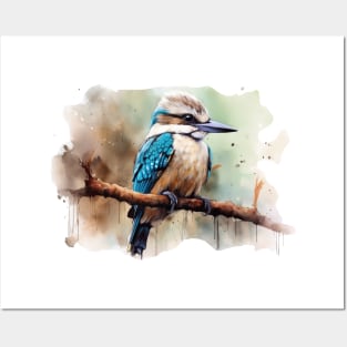 Kookaburra Posters and Art